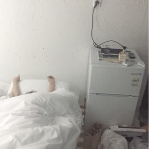 女人与狗乱伦视频
