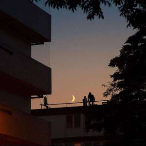 女人与狗乱伦视频
