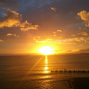 女人与狗乱伦视频
